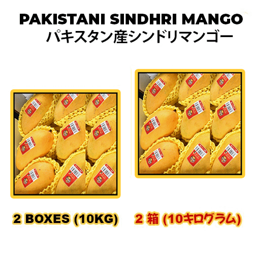 PAKISTANI SINDHRI MANGO パキスタン産シンドリマンゴー 5KG (2BOXES)