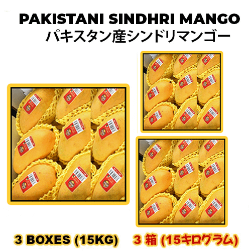 PAKISTANI SINDHRI MANGO パキスタン産シンドリマンゴー 5KG (3BOXES)