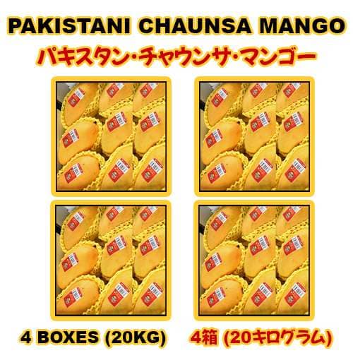 PAKISTANI CHAUNSA MANGO 4 BOXES