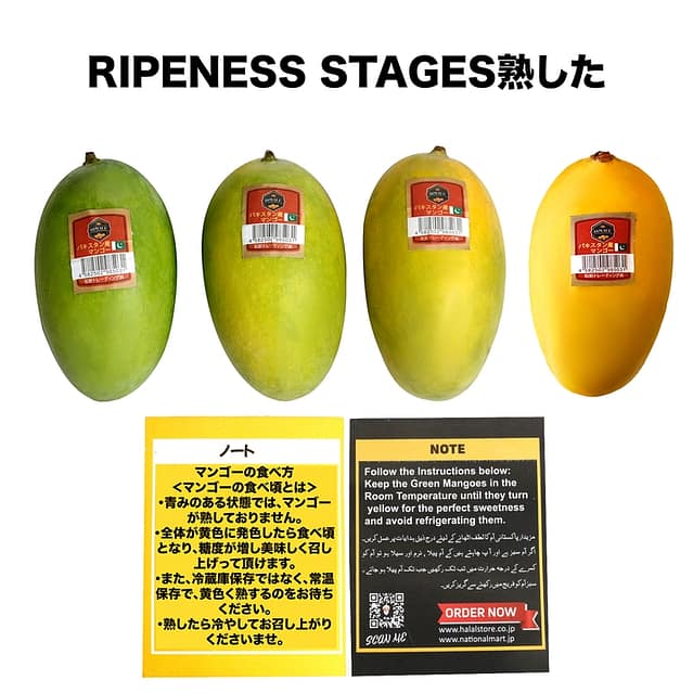 MANGO RIPENESS STAGES