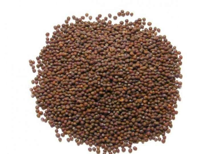 Mustard Seed 100g